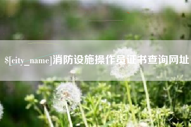 保山消防设施操作员证书查询网址