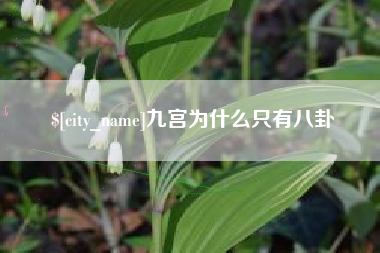 保山九宫为什么只有八卦