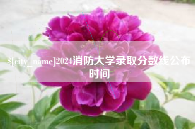 保山2024消防大学录取分数线公布时间