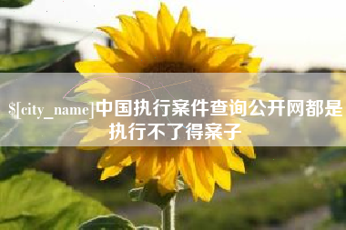 保山中国执行案件查询公开网都是执行不了得案子