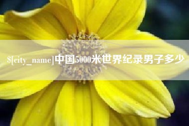 保山中国5000米世界纪录男子多少