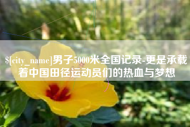 保山男子5000米全国记录-更是承载着中国田径运动员们的热血与梦想