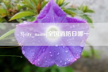 保山全国消防日哪一
