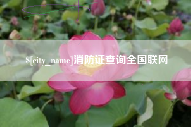 保山消防证查询全国联网