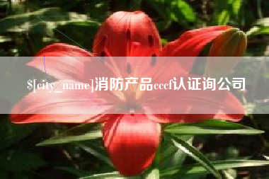 保山消防产品cccf认证询公司