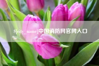 保山中国消防网官网入口