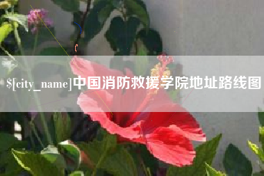 保山中国消防救援学院地址路线图