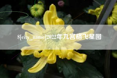 保山2022年九宫格飞星图
