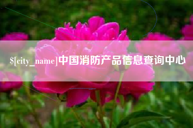 保山中国消防产品信息查询中心
