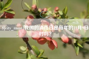 保山我国的消防日是每年的11月9日对吗？