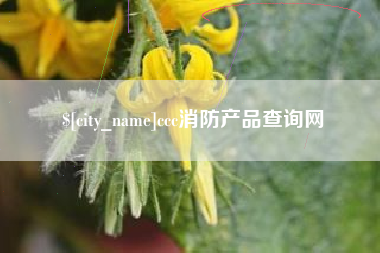 保山ccc消防产品查询网