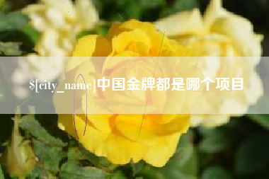 保山中国金牌都是哪个项目
