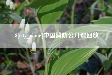 保山中国消防公开课回放