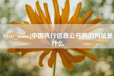 保山中国执行信息公开网的网址是什么