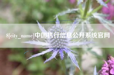 保山中国执行信息公开系统官网