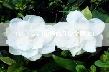 保山中国的几块金牌2021