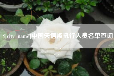 保山中国失信被执行人员名单查询