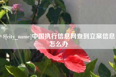 保山中国执行信息网查到立案信息怎么办