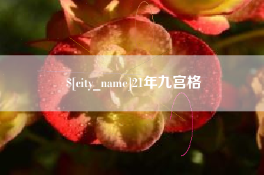 保山21年九宫格
