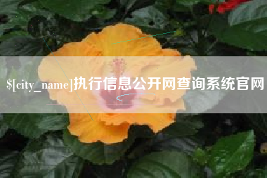 保山执行信息公开网查询系统官网