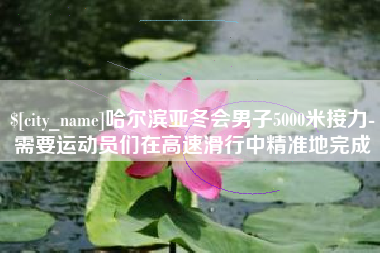 保山哈尔滨亚冬会男子5000米接力-需要运动员们在高速滑行中精准地完成