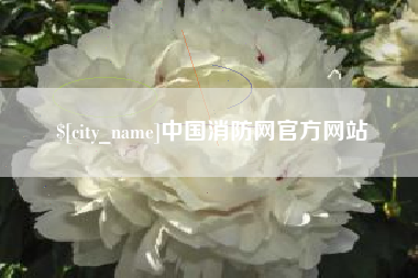 保山中国消防网官方网站