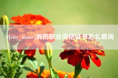 保山消防职业资格证书怎么查询