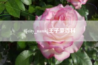 保山王子豪百科