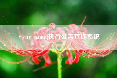 保山执行公告查询系统