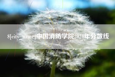保山中国消防学院2024年分数线
