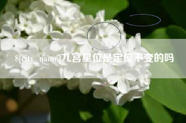 保山九宫星位是定位不变的吗