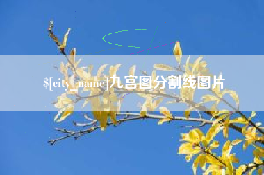 保山九宫图分割线图片