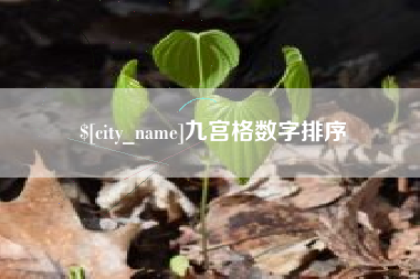 保山九宫格数字排序
