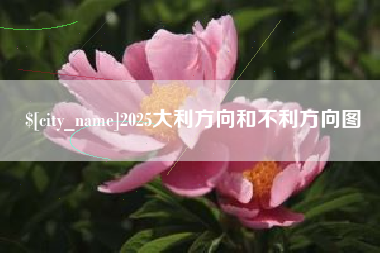 保山2025大利方向和不利方向图