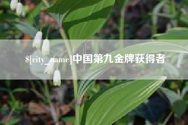 保山中国第九金牌获得者