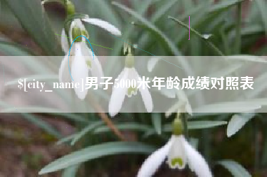 保山男子5000米年龄成绩对照表