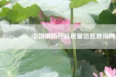 保山中国消防产品质量信息查询网