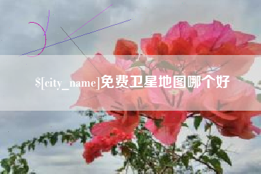 保山免费卫星地图哪个好