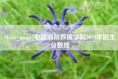 保山中国消防救援学院2024年招生分数线