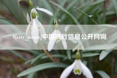 保山中国执行信息公开网询