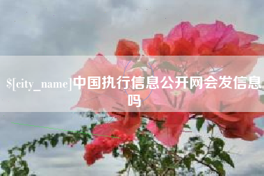 保山中国执行信息公开网会发信息吗