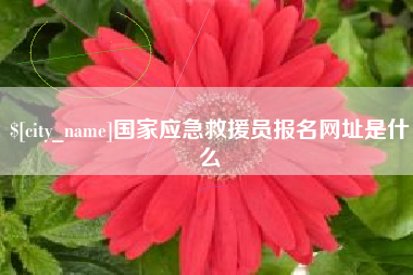 保山国家应急救援员报名网址是什么