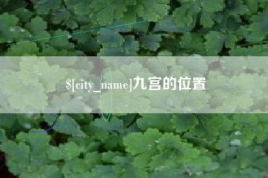 保山九宫的位置