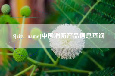 保山中国消防产品信息查询