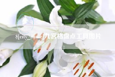 保山九宫格盘点工具图片