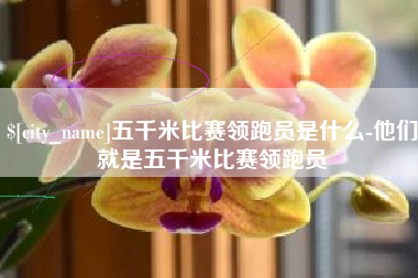 保山五千米比赛领跑员是什么-他们就是五千米比赛领跑员