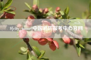 保山中国消防报考中心官网