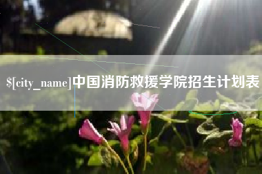 保山中国消防救援学院招生计划表