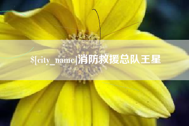 保山消防救援总队王星