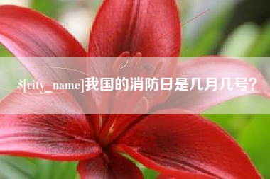 保山我国的消防日是几月几号？